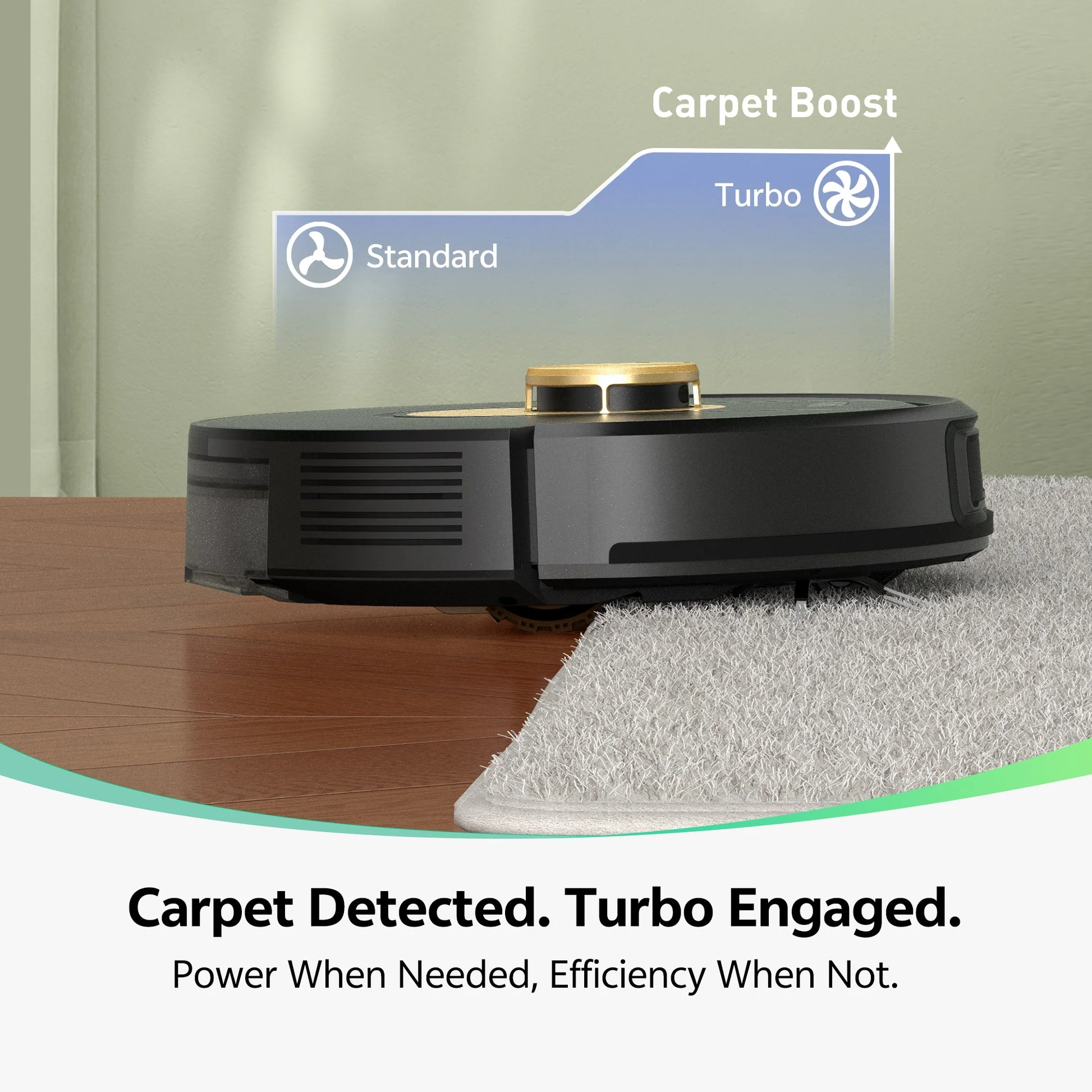 Carpet Boost des Vexilar W9